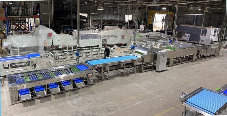 images/1656057045368sweet potato washing line.jpg